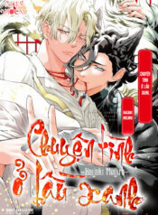 Chuyện tình ở lầu xanh