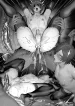 o-day-co-sec-thu-hoac-nhan-thu.jpg