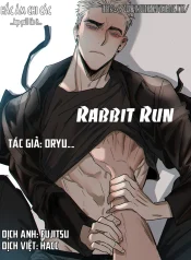rabbitrun.webp