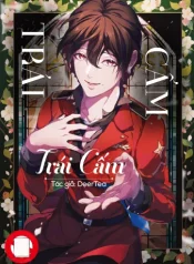 trai-cam-manhua-.jpg