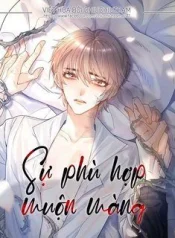 su-phu-hop-muon-mna.jpg